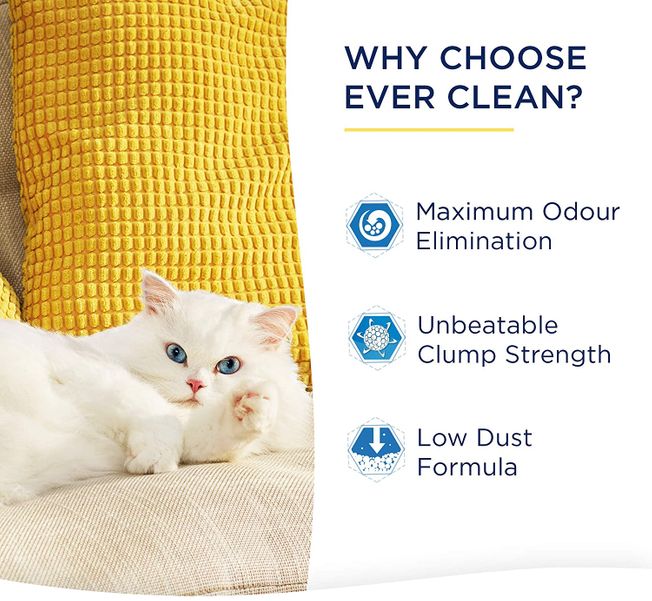 Ever Clean Litterfree Paws Cat Litter, 10 Litrov