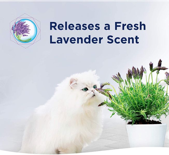 Ever Clean Lavender Cat Litter, 10 Litrov