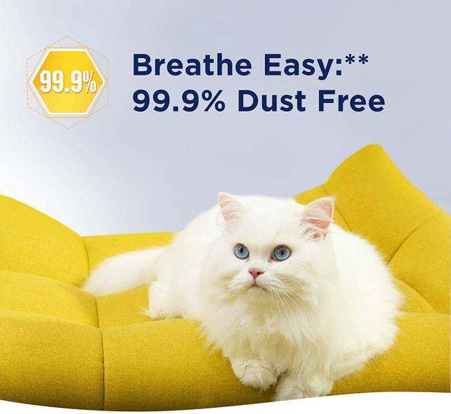 Ever Clean Litterfree Paws Cat Litter, 10 Litrov